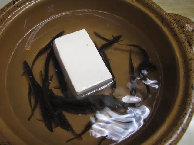 Món ăn gây tranh cãi dữ dội với con cá vẫn còn nằm thở thoi thóp trên đĩa-8