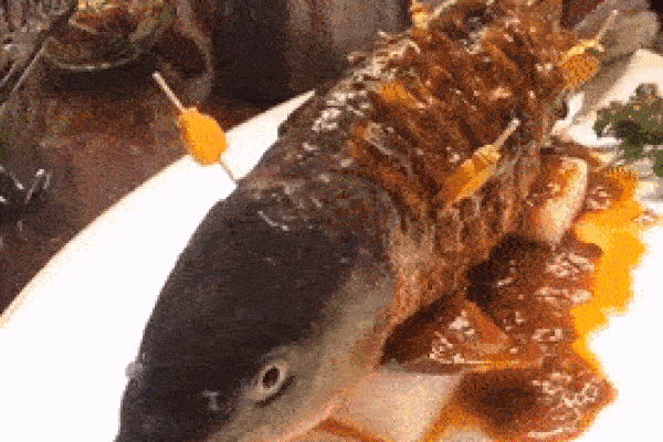 Món ăn gây tranh cãi 'dữ dội' với con cá vẫn còn nằm thở thoi thóp trên đĩa