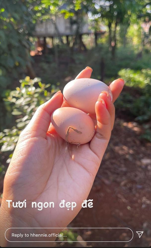 HHen Niê ủ tóc bằng combo từ thiên nhiên mùi siêu ghê và kết quả bất ngờ-1