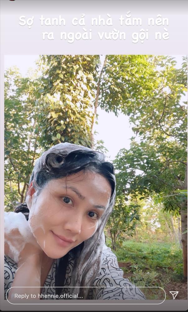 HHen Niê ủ tóc bằng combo từ thiên nhiên mùi siêu ghê và kết quả bất ngờ-5