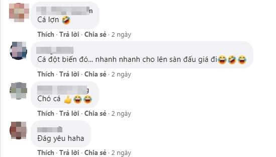 Xông xáo vào bếp làm bánh mì mà như tiên cá heo, ai nhìn xong cũng chỉ biết cười-5
