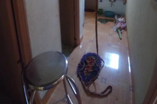 Nam sinh lớp 9 treo cổ, để lại thư tuyệt mệnh 'xin lỗi ba mẹ, thông cảm cho con'