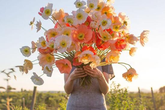 Tử vi 12 cung hoàng đạo thứ Tư ngày 5/5/2021: Sư Tử mải yêu đương quên công việc