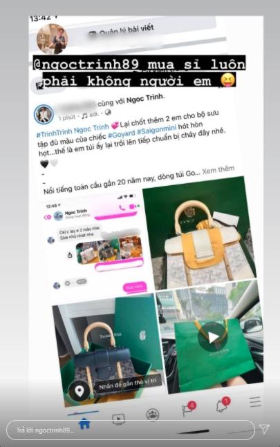 Đoàn Di Băng học Ngọc Trinh, Hương Giang sắm túi cho giới siêu giàu-4