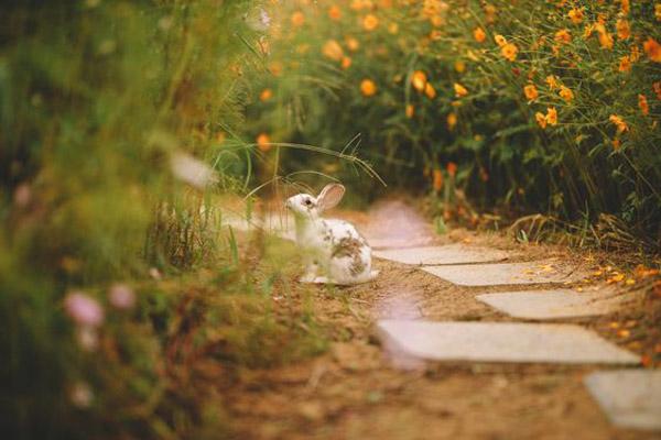 Quý cô thông minh, kiếm tiền giỏi nếu sinh vào khung giờ Âm lịch này-4