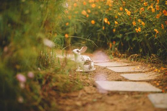 Tử vi 12 cung hoàng đạo thứ Năm ngày 6/5/2021: Kim Ngưu đặt tiêu chuẩn cao