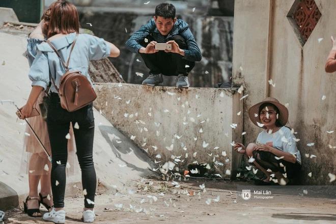 Choáng ngợp trước mùa bướm ở Quảng Bình đẹp đến nao lòng-3