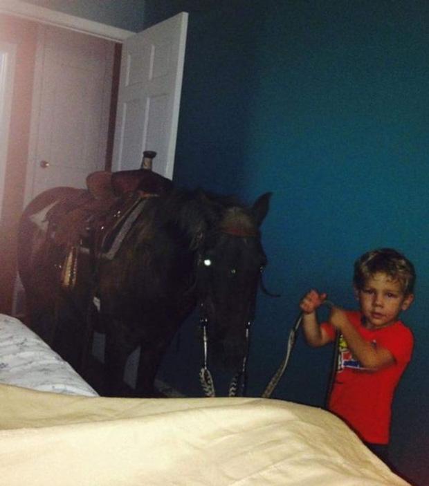 Cha mẹ cười ra nước mắt khi nhờ cậy lũ trẻ giúp đỡ việc nhà-2