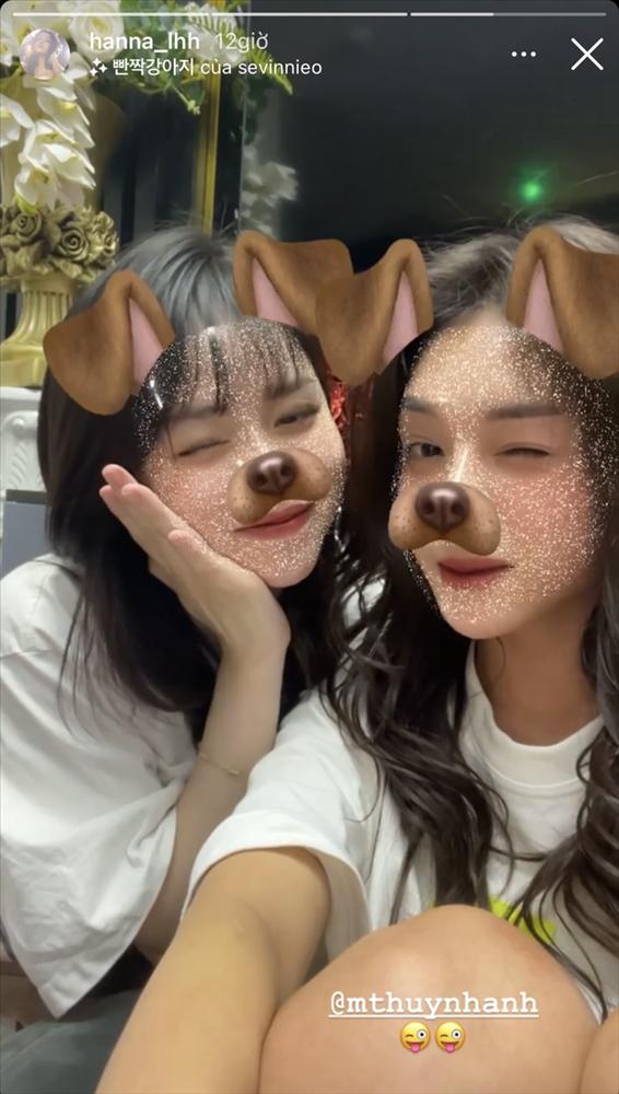 huynh-anh-04.png