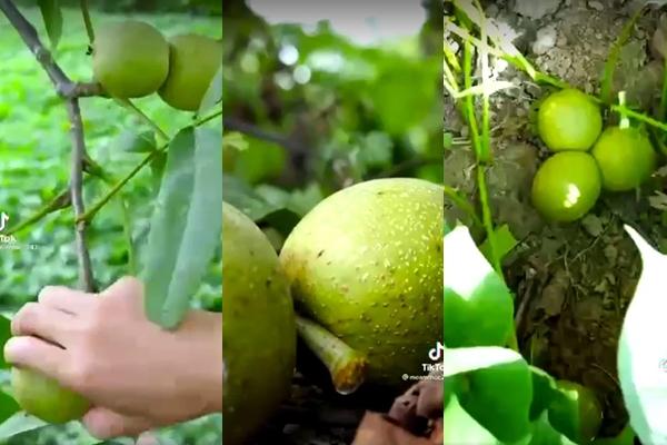 Bức xúc khách hàng ăn xong trộm luôn ghế trẻ em mang về-6