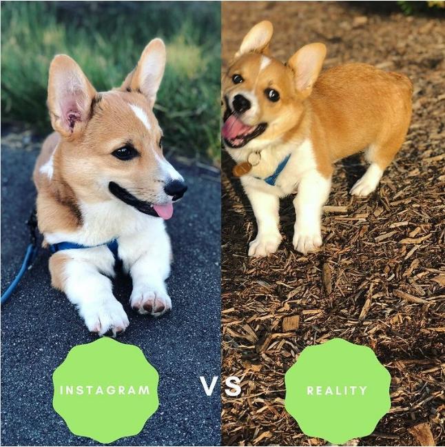 Sự thật khó đỡ đằng sau những bức ảnh ảo diệu trên mạng xã hội-2