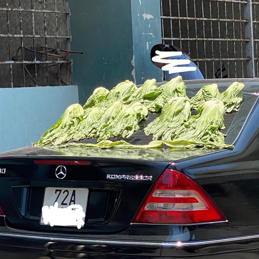 Cách phơi rau của người chơi hệ giàu, nhìn thôi cũng biết dưa muối ngon cỡ nào-1