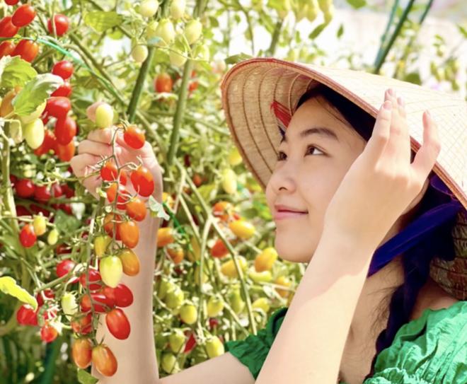 Clip full nhan sắc của Lọ Lem nhà MC Quyền Linh-4