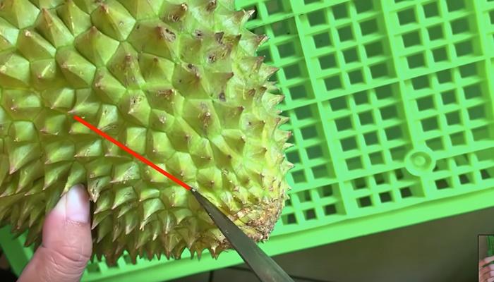 Bà cụ Hàn Quốc bổ sầu riêng như chặt dừa khiến nhiều người Việt xem mà tức cái lồng ngực-3