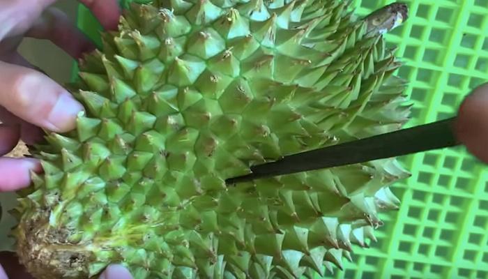 Bà cụ Hàn Quốc bổ sầu riêng như chặt dừa khiến nhiều người Việt xem mà tức cái lồng ngực-4