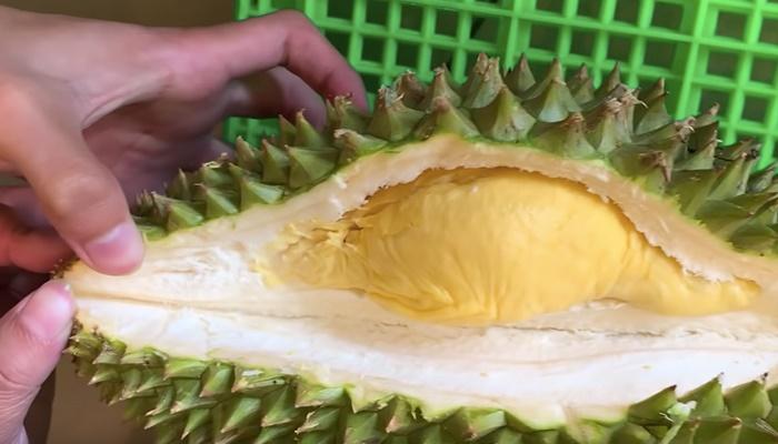 Bà cụ Hàn Quốc bổ sầu riêng như chặt dừa khiến nhiều người Việt xem mà tức cái lồng ngực-5