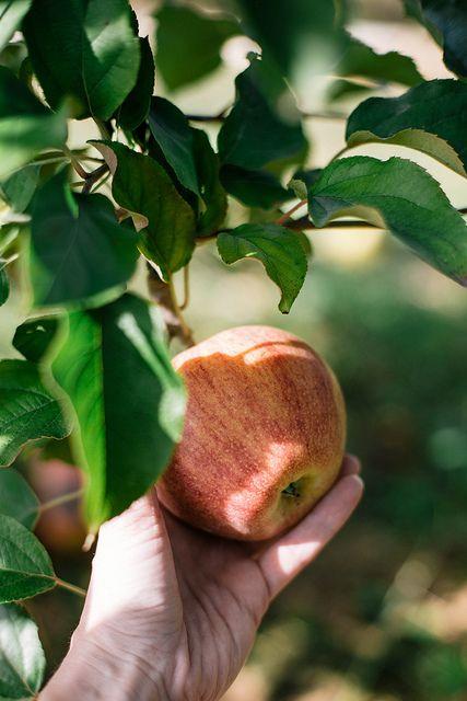 Tử vi 12 cung hoàng đạo thứ Bảy ngày 8/5/2021: Sư Tử đã tự nguyện thì chớ than vãn-3