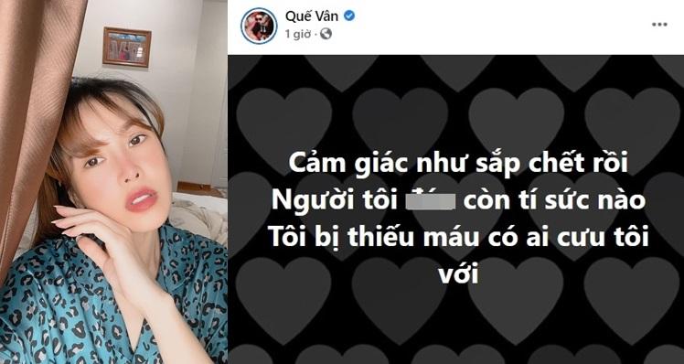 Quế Vân cầu cứu trước kỳ sinh nở-1