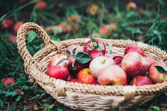 12 cung hoàng đạo Chủ nhật ngày 9/5/2021: Xử Nữ 'nợ như chúa chổm'