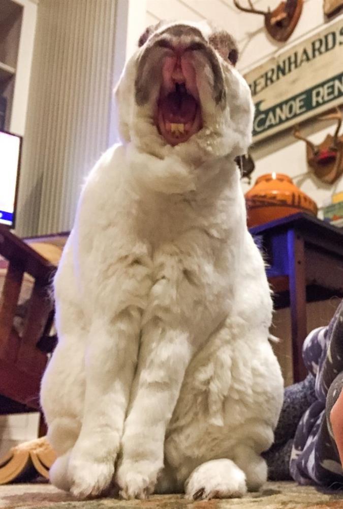 Giật mình với những khoảnh khắc đời thực đáng sợ như phim kinh dị-5