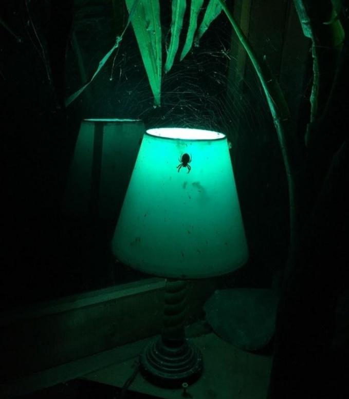 Giật mình với những khoảnh khắc đời thực đáng sợ như phim kinh dị-8