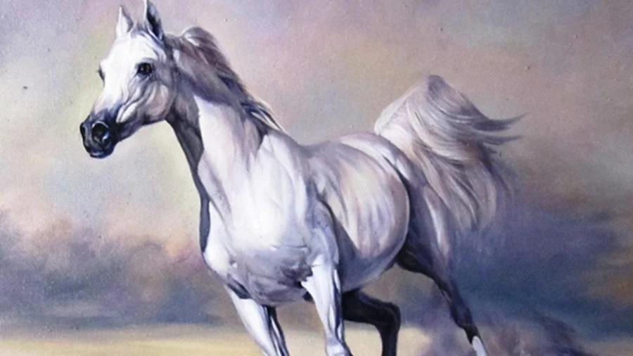 Tuần mới: 3 con giáp cẩn trọng mồm miệng kẻo họa thị phi đeo bám-1