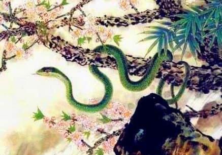 Bắt đầu từ 10/5, 4 con giáp may mắn phúc lộc, đào hoa vượng phát-3