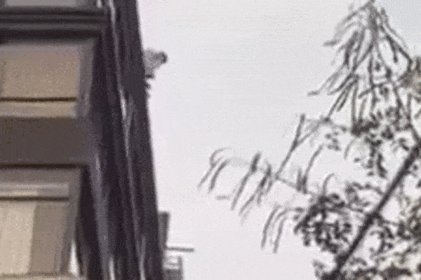 Thanh niên nhảy từ khách sạn xuống tử vong: Cuộc sống này quá mệt rồi-1