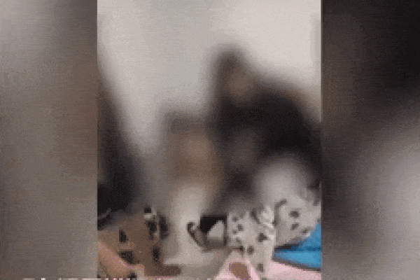 Nữ sinh bị đánh hội đồng, ép quan hệ với bạn trai ngay trước mặt nhiều người-2