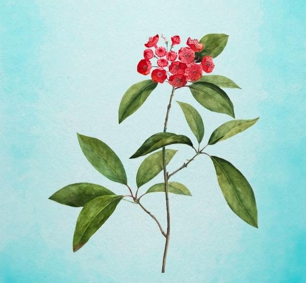 Bông hoa yêu thích nhất sẽ tiết lộ tài năng tiềm ẩn của bạn-3