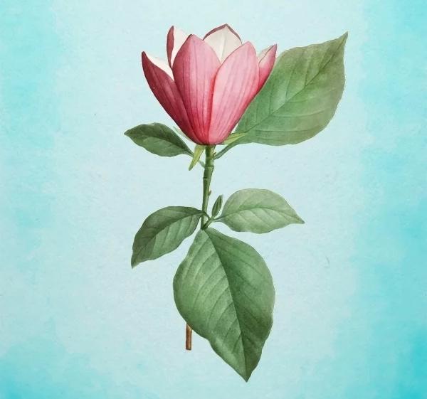 Bông hoa yêu thích nhất sẽ tiết lộ tài năng tiềm ẩn của bạn-4