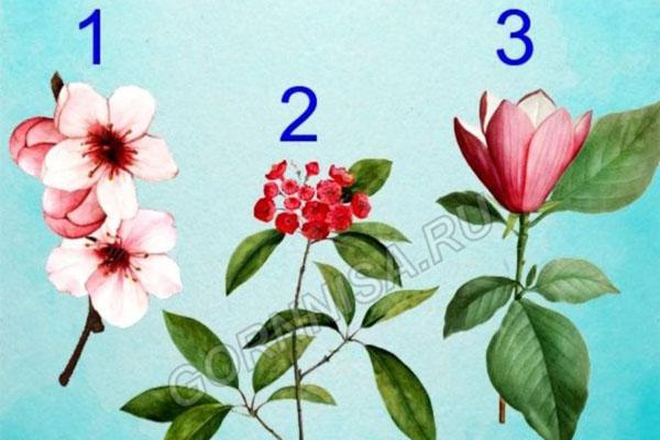 Thứ Ba ngày 11/5/2021 của 12 con giáp: Mùi phải đối mặt với sự cố phát sinh-5