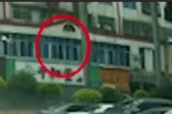 Hi hữu: Người đàn ông bị 1 lá cây rơi trúng bất tỉnh, thủ phạm nhìn thất kinh