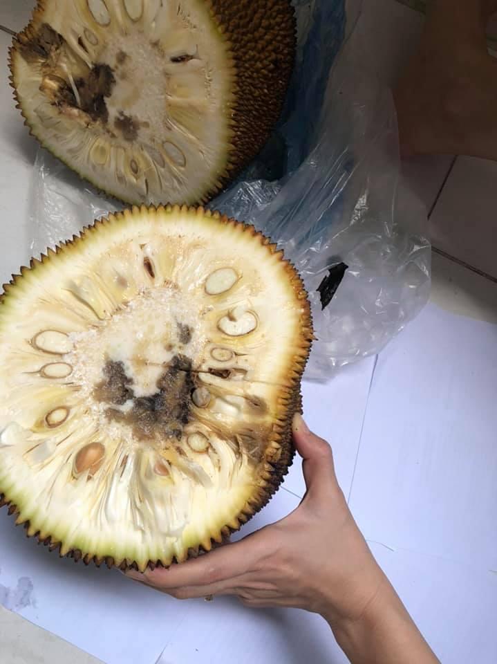 Hí hửng với trái mít sạch nhà trồng, đến khi bổ ra khổ chủ chết lặng-3