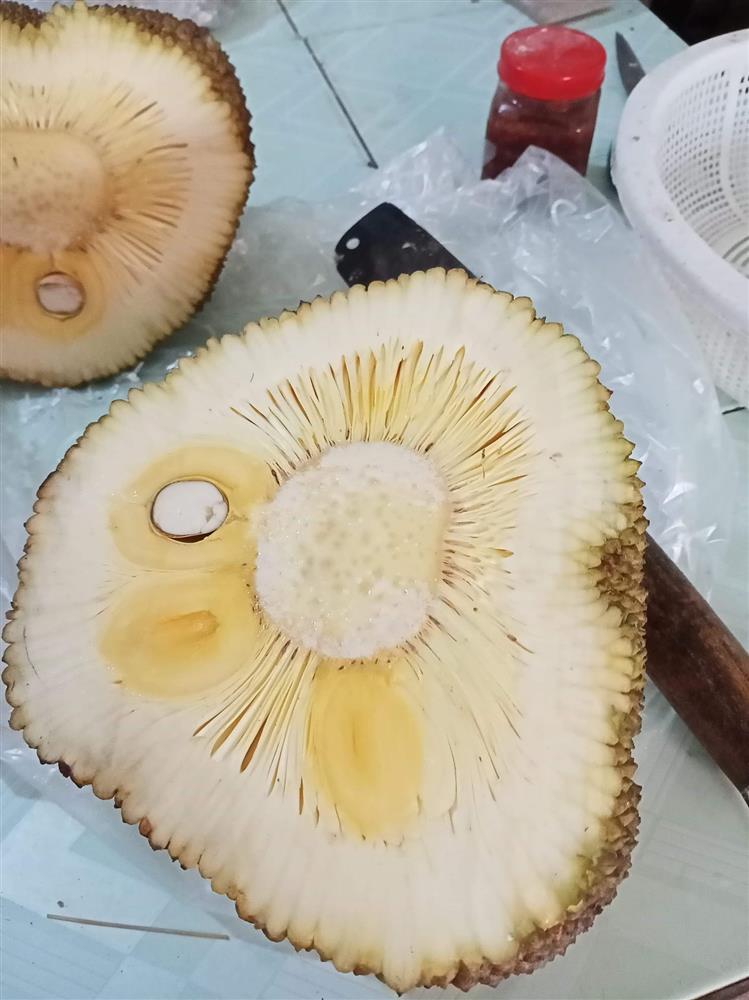 Hí hửng với trái mít sạch nhà trồng, đến khi bổ ra khổ chủ chết lặng-4