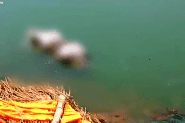 Ấn Độ: Bệnh nhân Covid-19 tử vong sau khi bị nam y tá cưỡng hiếp-2