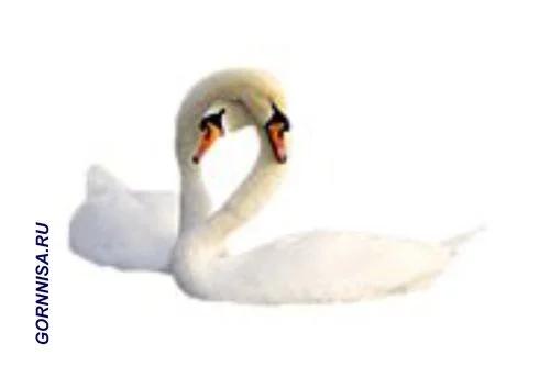 Hình ảnh nhìn thấy trong bức tranh sẽ giải mã bạn là ai trong cuộc tình này?-8