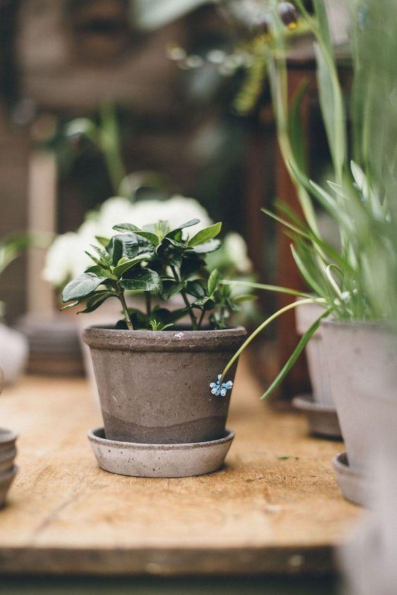 Tử vi 12 cung hoàng đạo thứ Tư ngày 12/5/2021: Kim Ngưu đắm chìm trong tình yêu-1