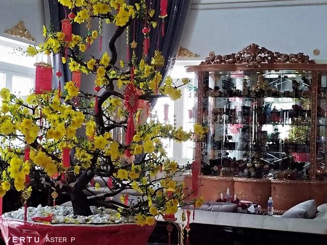 Vợ đại gia Dũng Lò Vôi: Dát kim cương lóa mắt, lướt Rolls-Royce 30 tỷ-14