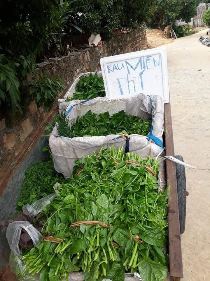 Phát rau miễn phí ủng hộ bà con chống dịch-1