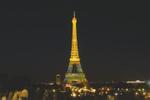 Loạt công trình nổi tiếng ở Paris đồng loạt chuyển màu khác lạ-7