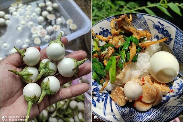 Kho cá với... trân châu đường đen, cô gái bảo đó là món đặc sản miền Tây-6