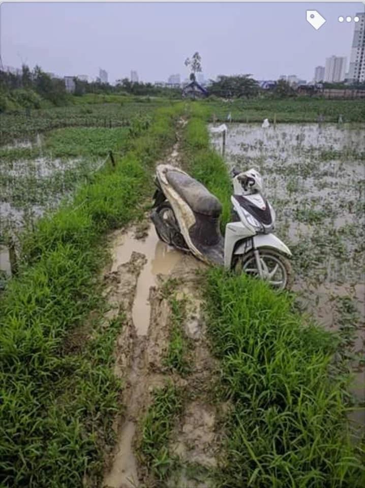 Tin chị Google chỉ đường, nhiều người ra nghĩa địa xong lại lội xuống ruộng-3