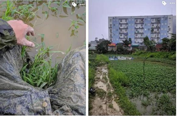 Tin chị Google chỉ đường, nhiều người ra nghĩa địa xong lại lội xuống ruộng-4