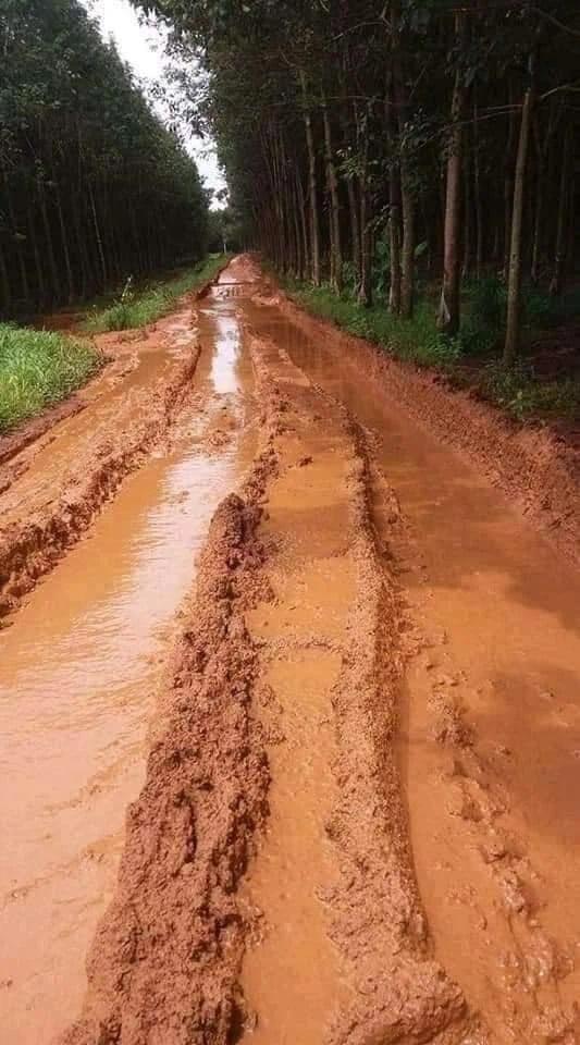 Tin chị Google chỉ đường, nhiều người ra nghĩa địa xong lại lội xuống ruộng-6