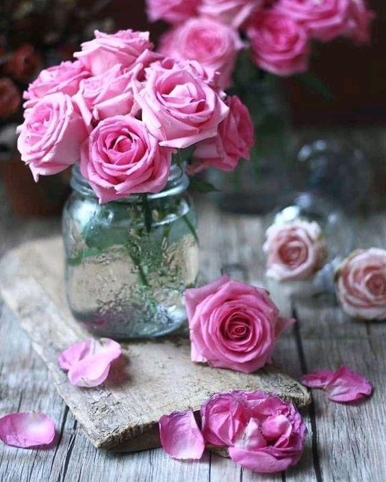 12 cung hoàng đạo thứ Năm ngày 13/5/2021: Cự Giải trở thành người kết nối tập thể-1