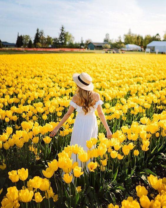 12 cung hoàng đạo thứ Năm ngày 13/5/2021: Cự Giải trở thành người kết nối tập thể-2