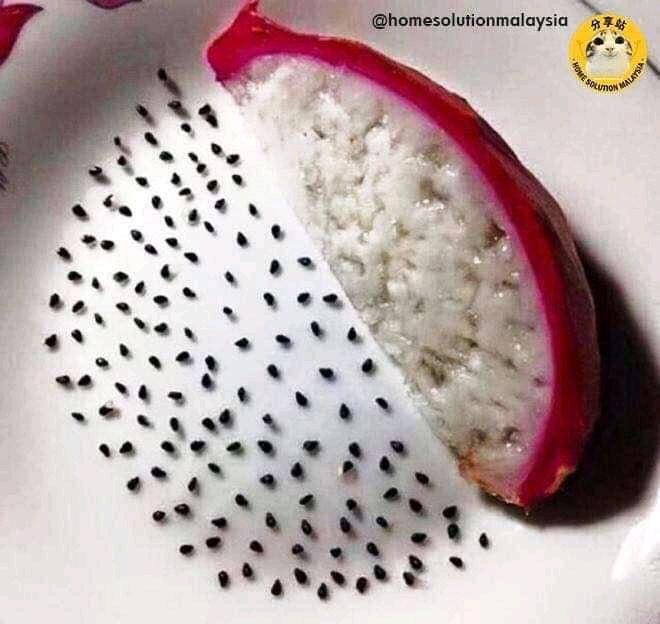 Đúng là một người có tính kiên nhẫn vượt trội.