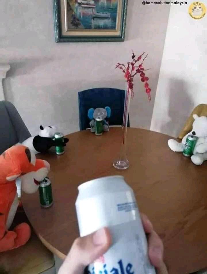 Không có ai bầu bạn thì gọi thú cưng đến uống bia cho đỡ buồn vậy!