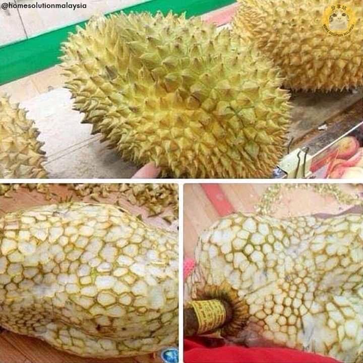 Rảnh rỗi sinh nông nổi, gọt sầu riêng kiểu này thì xin quỳ.